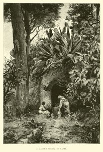 Um jardim primavera em Capri de English School