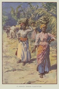 Uma plantação de bananas na Jamaica (litografia a cores) de English School