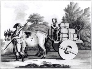 Uma quinta portuguesa, de uma visão geral do Estado de Portugal por James Murphy, publicada em 1797 de English School