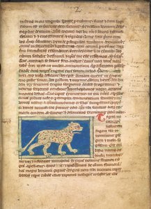 Um Tigre, de Sloane 3544, f.2 (velino) de English School