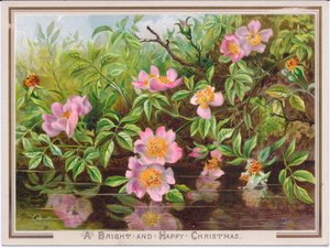 Um cartão de Natal vitoriano que descreve um arbusto de rosas de cachorro por um riacho, c.1880 de English School