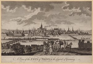 A View of the City of Vienna, the Capital of Germany (gravura) de English School