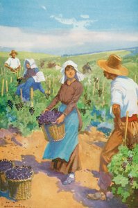 Uma vinha em França (litografia a cores) de English School