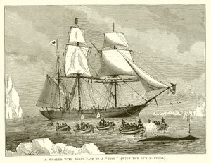 Um baleeiro com barcos rápido para um peixe (com o arpão de arma) de English School