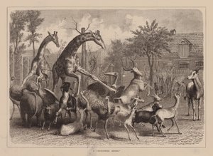 Um "arejamento zoológico" (gravura) de English School