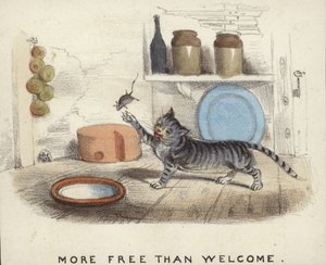 Um gato brincando com um rato que pegou de English School