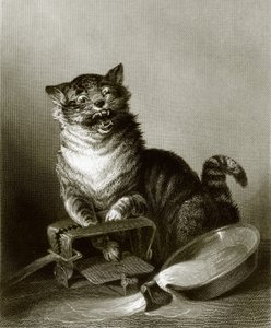Uma catástrofe de English School