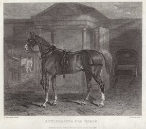 Um célebre cavalo de táxi de English School