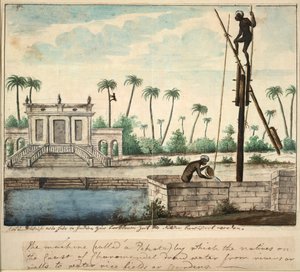 Um jardim colonial mostrando irrigação, c.1787 (aguarela sobre papel) de English School