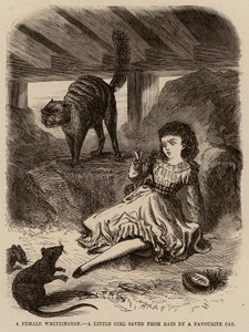 Uma Whittington feminina, uma menina salva dos ratos pelo seu gato favorito (gravura) de English School