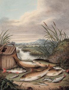 Um bom dia de pesca (gravura colorida) de English School