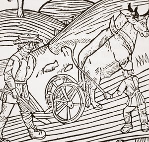 Um par de bois amarrado a um arado, título de John Fitzherberts Boke of Husbandry, primeiro pub. 1523 de English School