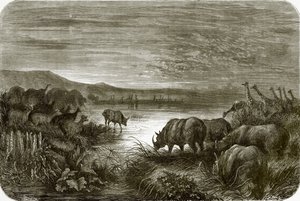 Um, lagoa, em, áfrica, à noite de English School