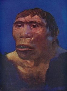 Uma reconstrução do homem de Java de English School