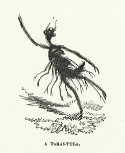 Uma tarântula (gravura) de English School