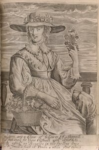 Uma mulher com flores, ilustração de 
