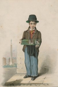 Um, menino jovem, retratado, segurando, um, gaiola, contendo, branca, ratos de English School