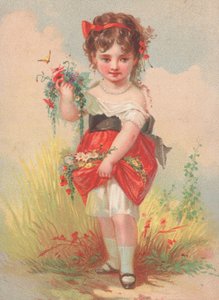 Um, menina jovem, colecionar, flores selvagens de English School