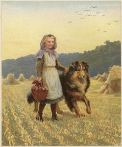 Um, menina jovem, ficar, em, um, campo, com, dela, mão, ligado, dela, collie, cão de English School