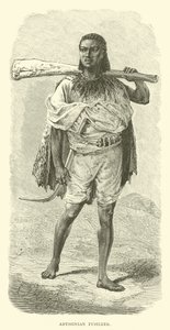 Fusileiro Abissínio de English School