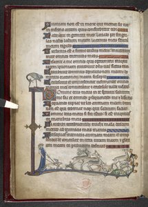 Adicionar MS 24686, f.13v Salmo com extensão marginal formando borda parcial, c.1284-1316 (velino) de English School
