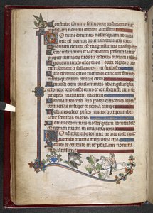 Adicionar MS 24686, f.14v, Menino no pônei com pato de caça ao falcão, c.1284-1316 (velino) de English School