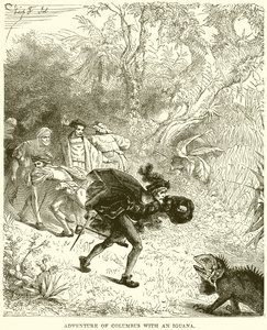 Aventura de Colombo com uma Iguana de English School