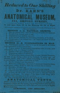 Anúncio de Museu Anatómico Dr. Khans Grant de English School