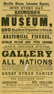 Anúncio de Reimerss Anatomical and Ethnological Museum de English School