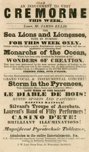 Anúncio para o aparecimento de leões marinhos e leoas em Cremorne Gardens, Londres, em 1848 de English School