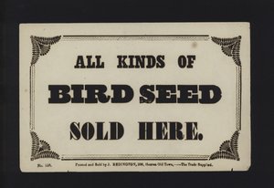 Propaganda: Todos os tipos de sementes de aves vendidos aqui (tipo) de English School