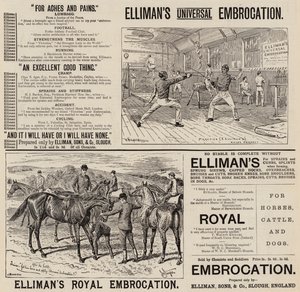 Anúncio, Embroca de Elliman (gravura) de English School