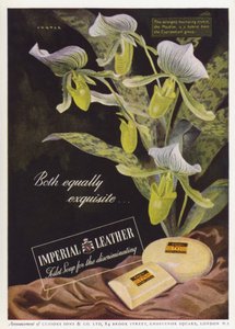 Anúncio para Cussons Imperial Leather soap (cor litho) de English School