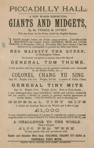 Propaganda para gigantes e anões de English School