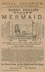 Anúncio para Harry Phillips Living Mythological Mermaid de English School