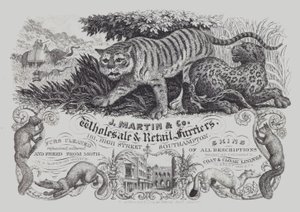 Anúncio para J Martin & Co, atacado e varejo de peleiros, Southampton, Hampshire (litho) de English School