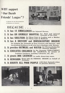 Propaganda para a nossa liga de amigos idiotas de English School