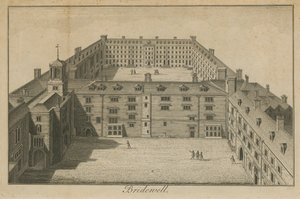 Vista aérea, de, palácio bridewell de English School