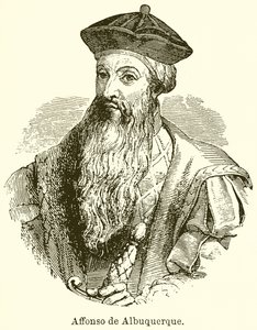 Affonso de Albuquerque  de English School