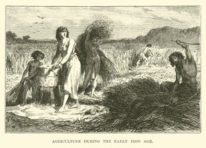 Agricultura durante o início da Idade do Ferro de English School