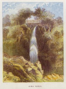 Força Aira (cor litho) de English School