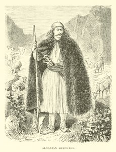 Pastor albanês de English School