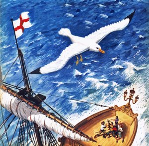 Albatroz de English School