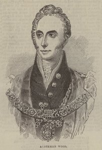 Alderman Wood de English School