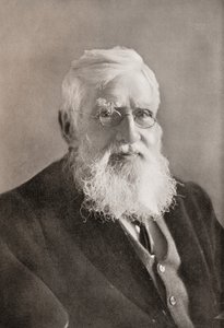 Alfred Russel Wallace, de "The Year" (O Ano) de English School