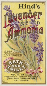 Amônia, lavanda perfumada de English School