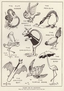 Animais divertidos (litho) de English School