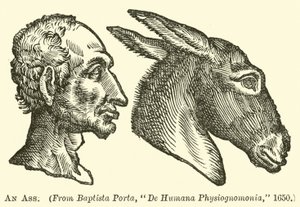 Um burro de English School