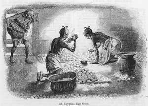 Um forno de ovos egípcio (gravura) de English School