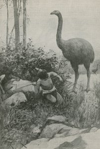Um habitante extinto da Nova Zelândia de English School